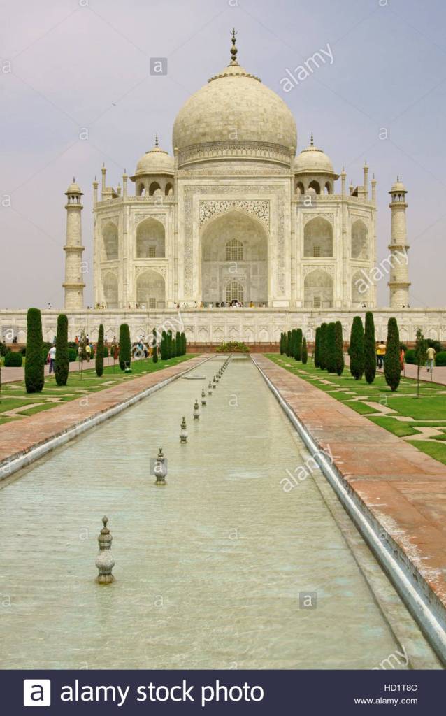 "Out of ivory palaces stringed instruments have made You glad...(Ps. 45:8).